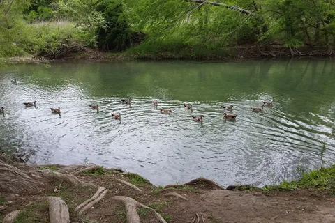 Riverside RV Park
