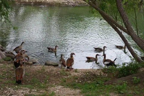 Riverside RV Park