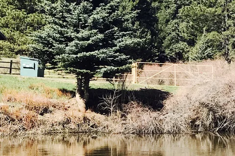 Taos Canyon Stop RV Park