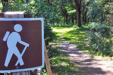 Black Bear Campground