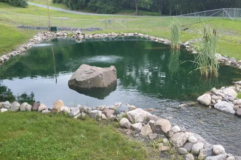 Black Bear Campground