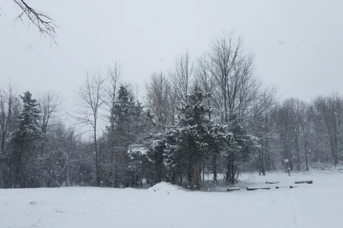Black Bear Campground
