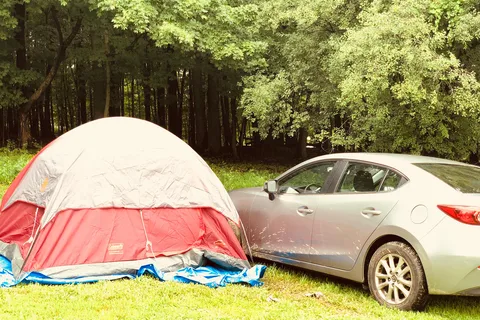 Black Bear Campground