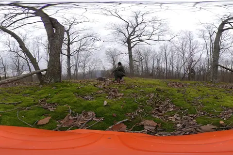 Nathan Bedford Forrest State Park