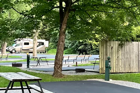 Twin Creek RV Resort