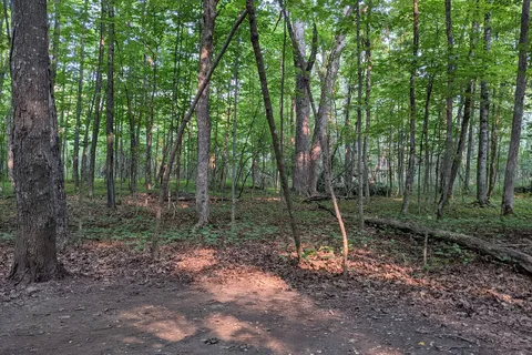 Fitzroy Provincial Park