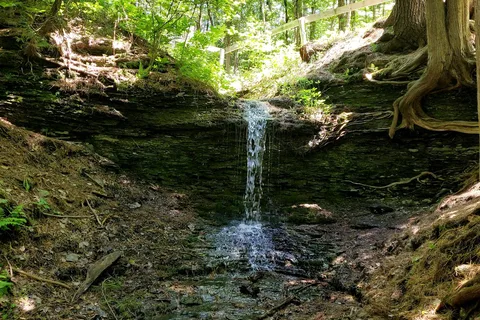 Fitzroy Provincial Park