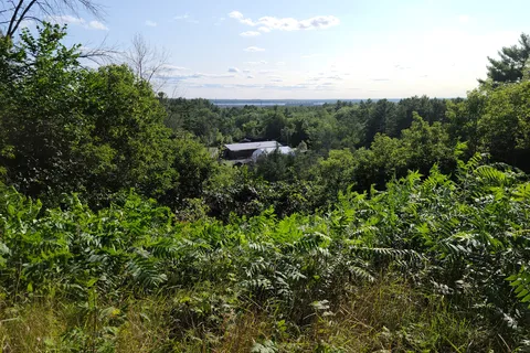 Fitzroy Provincial Park