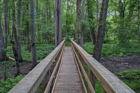 Fitzroy Provincial Park