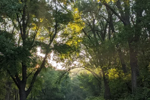Black Hawk State Park