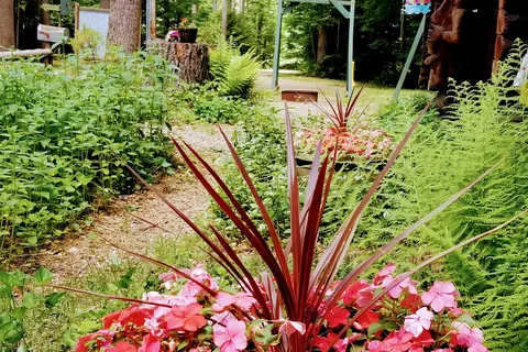 Tree Farm Campground