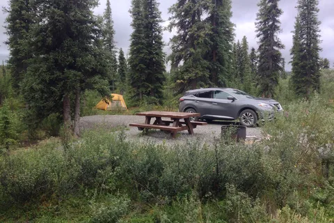 Kendesnii Campground - Wrangell - St Elias National Park and Preserve