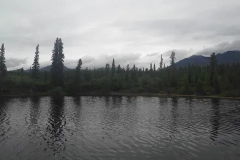 Kendesnii Campground - Wrangell - St Elias National Park and Preserve