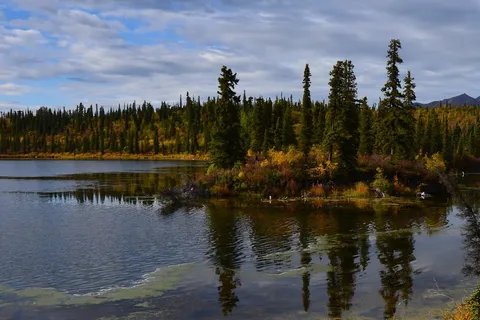 Kendesnii Campground - Wrangell - St Elias National Park and Preserve