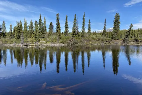 Kendesnii Campground - Wrangell - St Elias National Park and Preserve