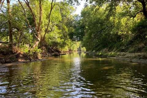 Redbud Ranch RV Resort