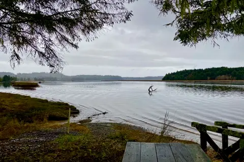 Rovers RV Park