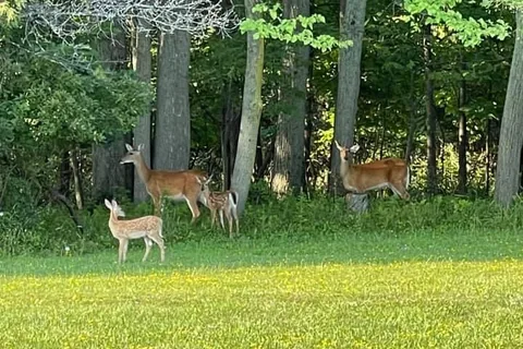 Le-Ti Campground