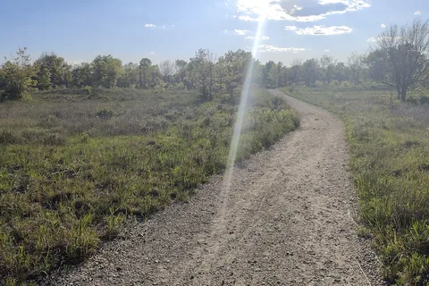 Illinois Beach State Park