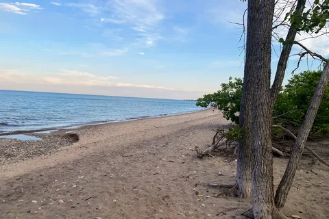 Illinois Beach State Park