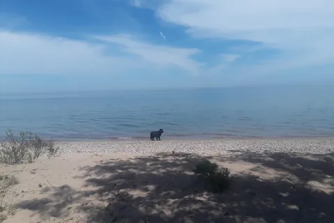 Illinois Beach State Park