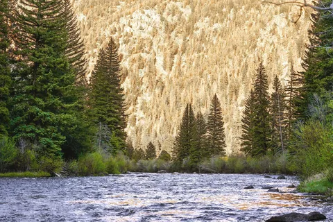 Campfire Ranch on the Taylor