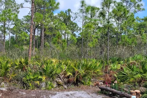 Calusa Cove RV Park