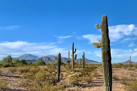 Wild West Ranch and RV Resort