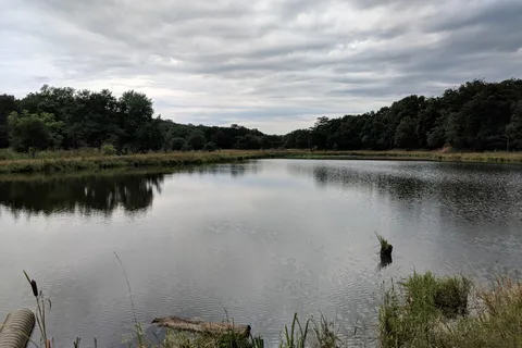 Whiterock Conservancy - River CG