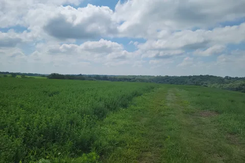 Whiterock Conservancy - River CG