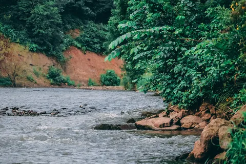 Whiterock Conservancy - River CG
