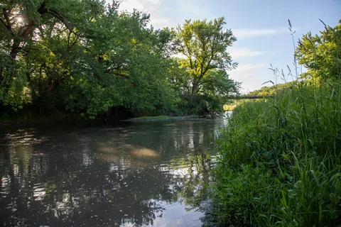 Whiterock Conservancy - River CG