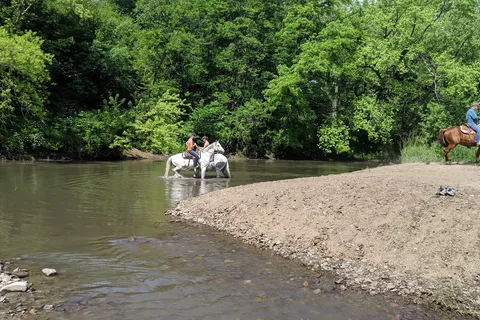 Whiterock Conservancy - River CG
