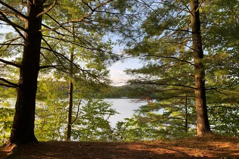 Sylvan Lake Beach Park Inc