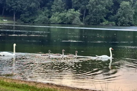 Sylvan Lake Beach Park Inc