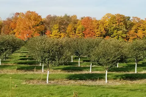 Hy-Land Court RV Park and Campground