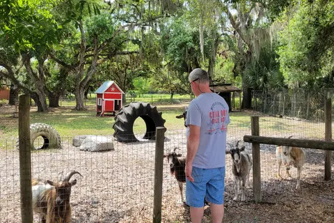 Sabal Palm RV Resort and Campground