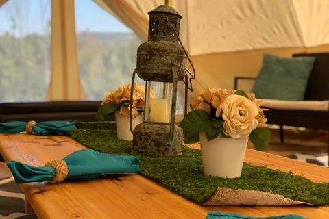 Adirondack Safari