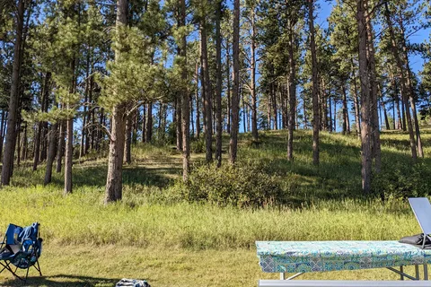 Elk Mountain Campground - Wind Cave National Park