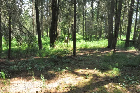 Big Knife Provincial Park