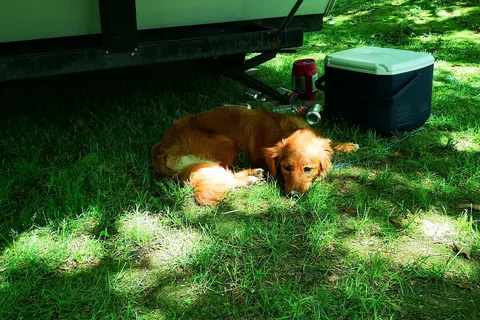 Highbury Gardens RV Park