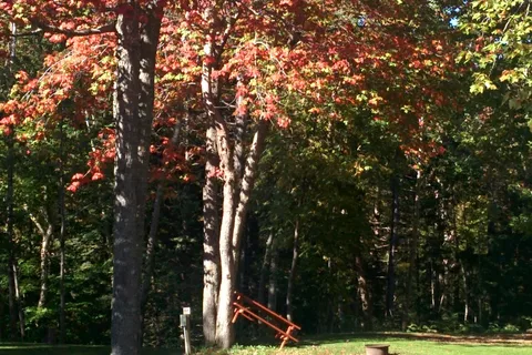 Highbury Gardens RV Park