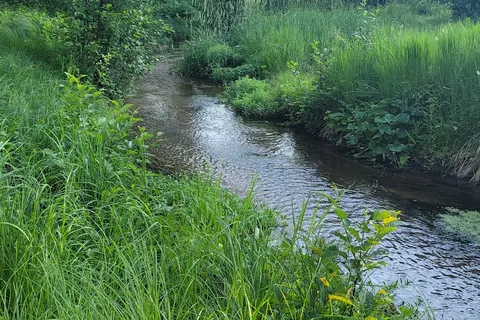 Camp Namekagon