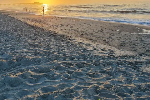 Myrtle Beach State Park