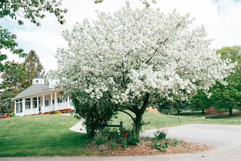 Tyler Creek Campground and Golf