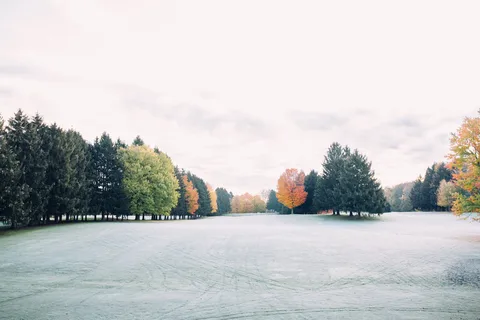 Tyler Creek Campground and Golf