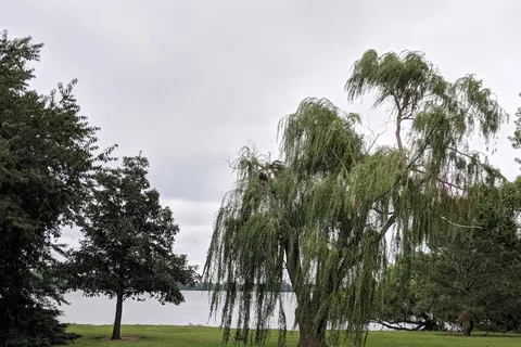 Willow Creek State Recreation Area
