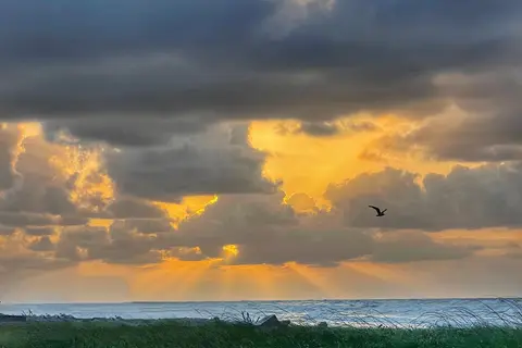 Sargent Beach RV Park