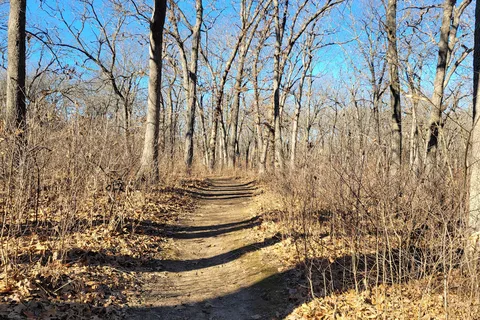 Knob Noster State Park