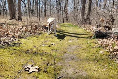 Knob Noster State Park